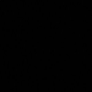 Meet your Posher, Shalev